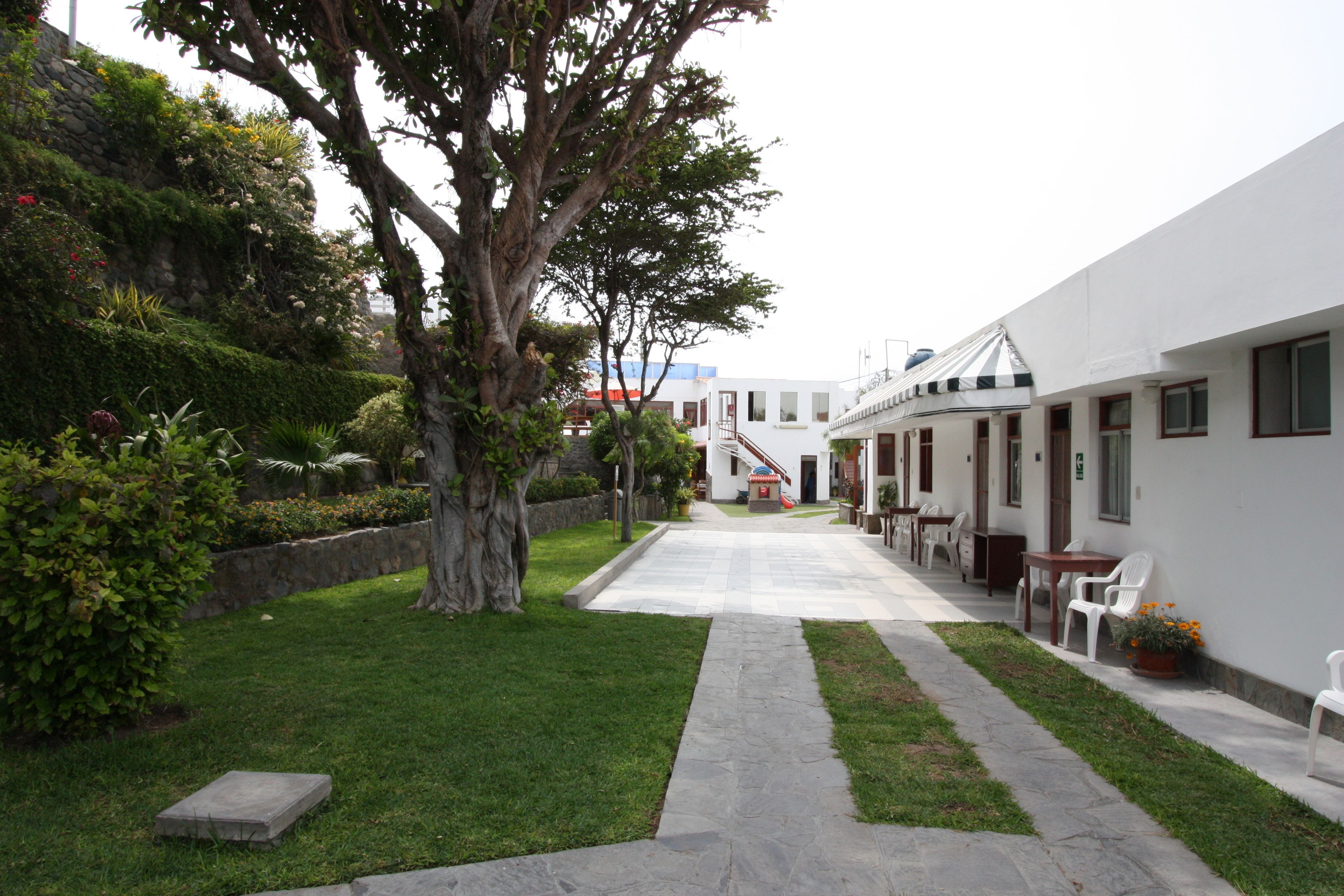 Un patio con un sendero de piedra, un árbol grande y un edificio con varias habitaciones y asientos al aire libre.