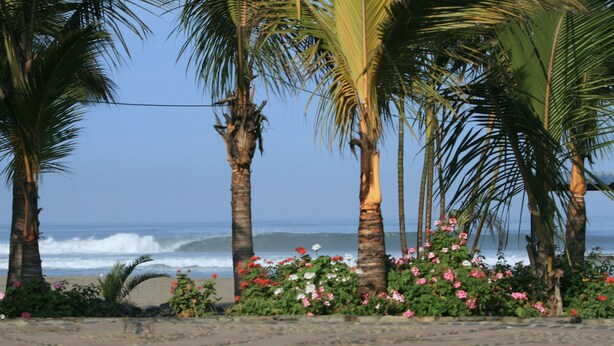 A beach with palm trees and flowers, and the ocean in the background. - TURISMO BRACAMONTE SAC (Huanchaco)