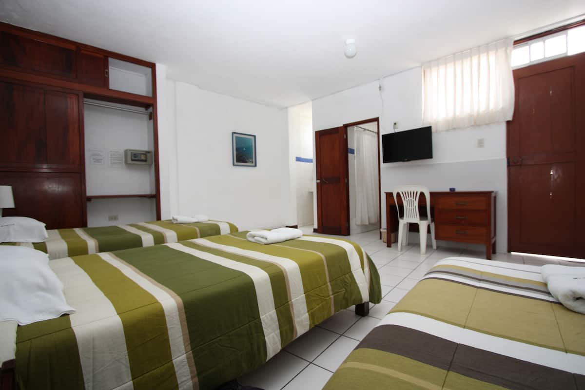 Standaard driepersoonskamer, 3 eenpersoonsbedden | Donzen dekbedden, een minibar, een kluis op de kamer