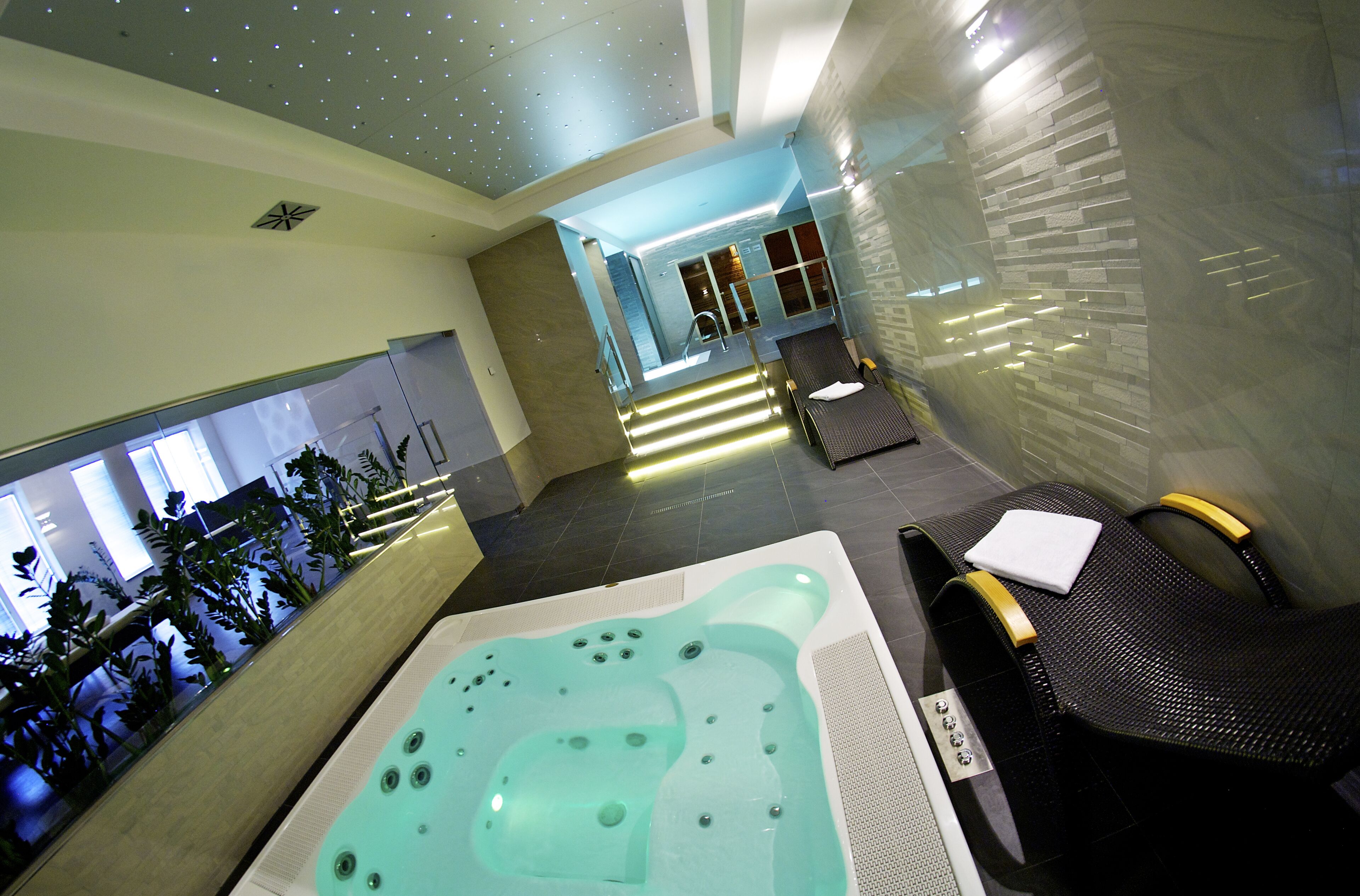 Sauna, hot tub, steam room