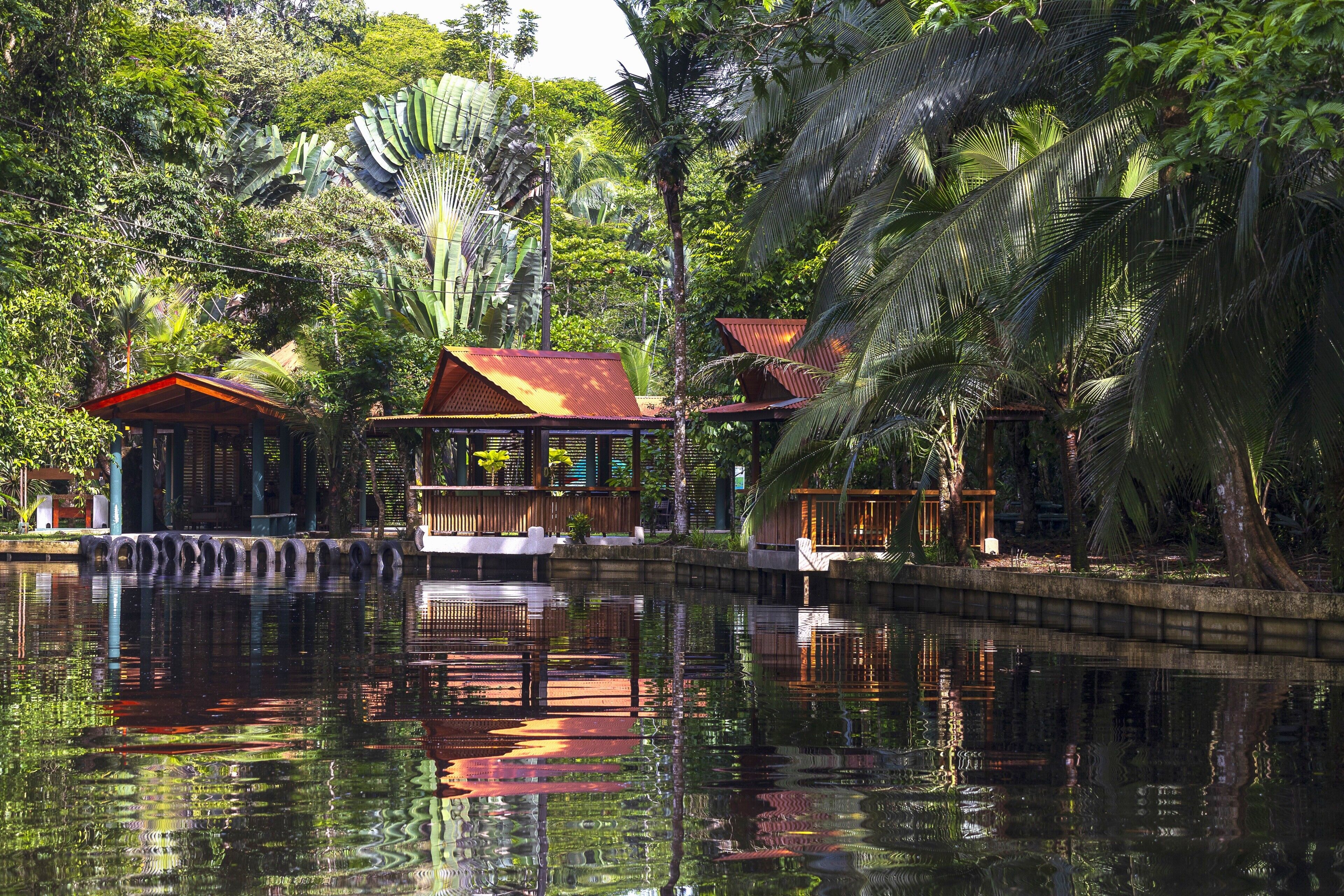 Photo - Evergreen Lodge