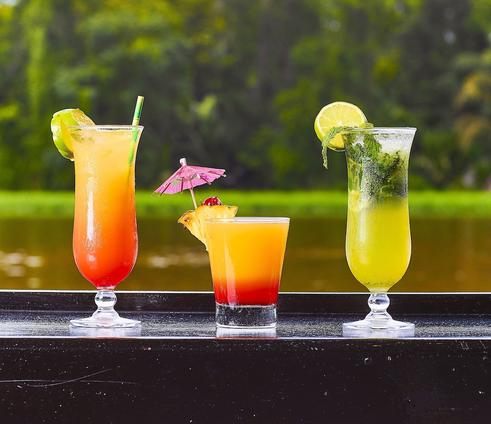 Evergreen Lodge by null