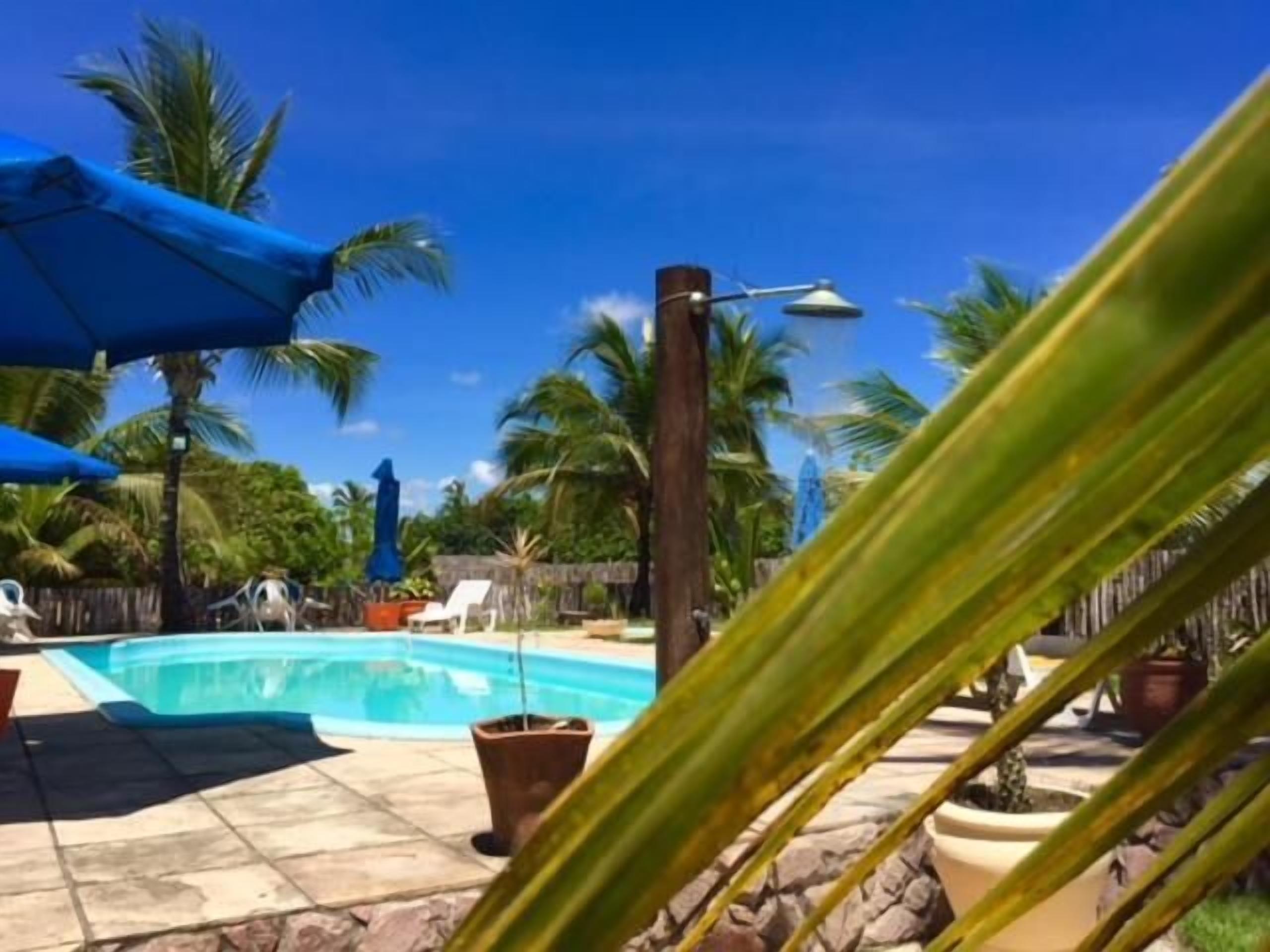 Ein Poolbereich mit blauem Himmel, Palmen und einem Holzzaun.