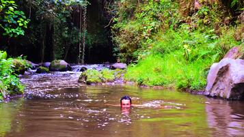 Piscine naturelle