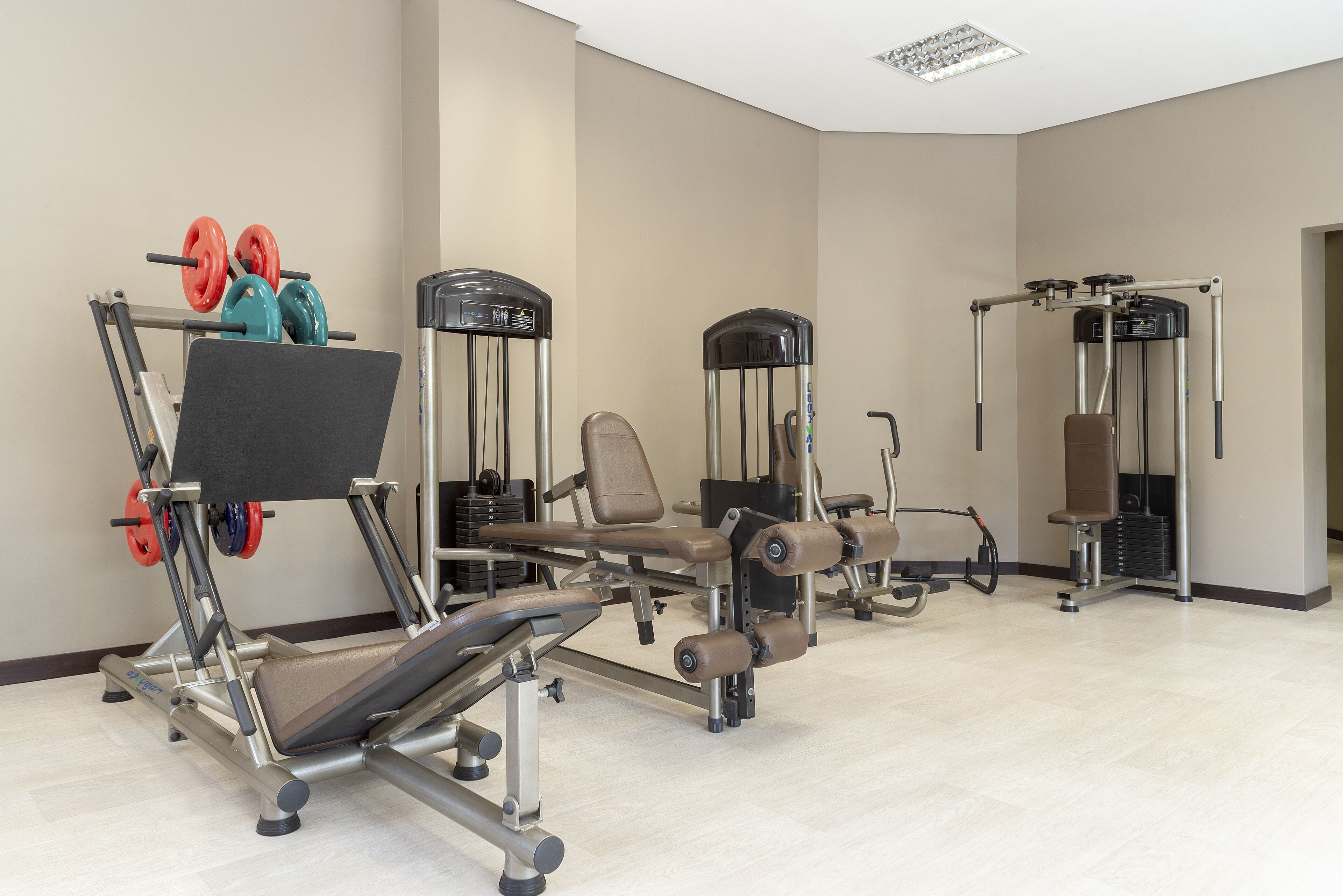 Ein Fitnessstudio mit verschiedenen Trainingsgeräten, darunter Gewichte und Cardiogeräte.