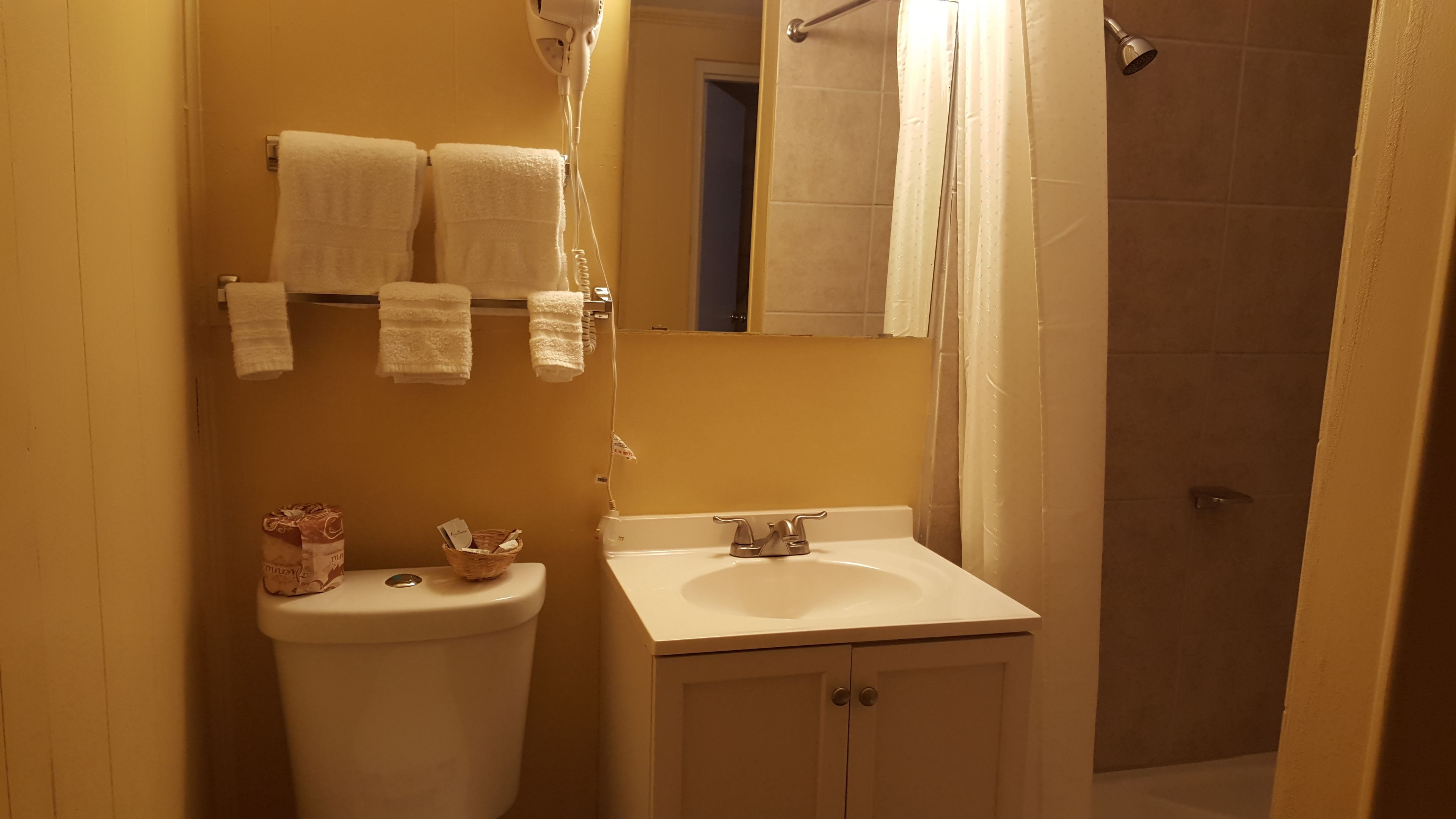 Free toiletries, hair dryer