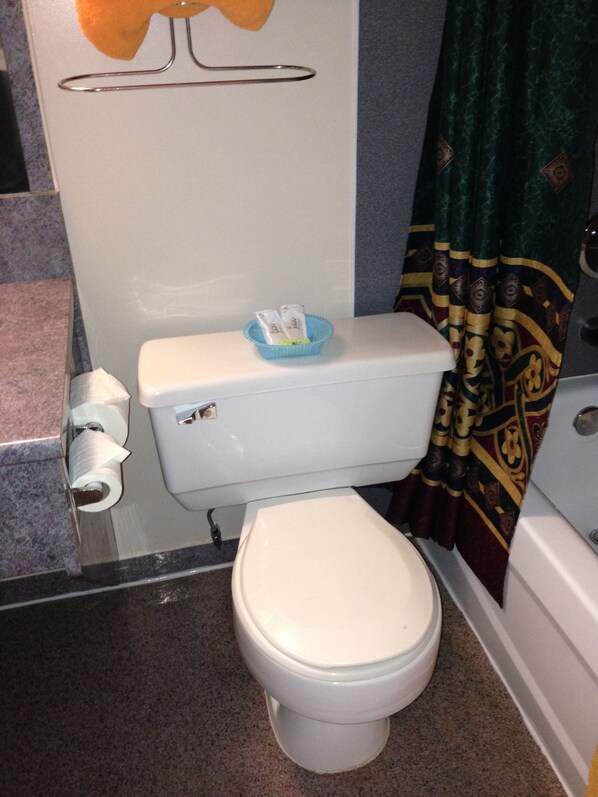 Un baño con inodoro, una cesta azul sobre el tanque, un rollo de papel higiénico y una cortina estampada.