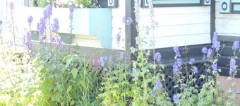 Historical Guest House