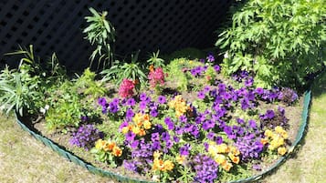 Jardin