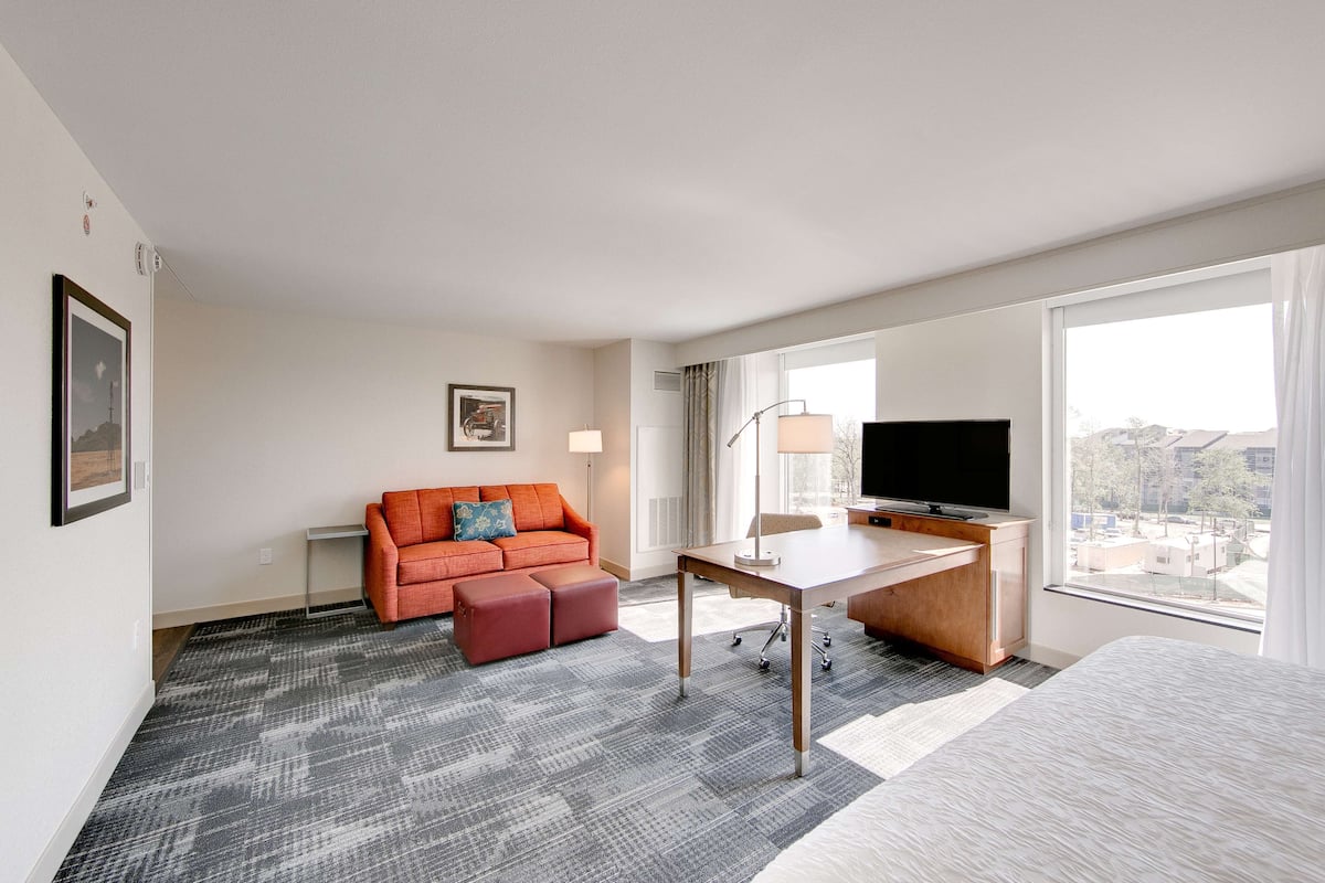 A hotel room with a bed, a desk, a television, a sofa, and a window with a city view.