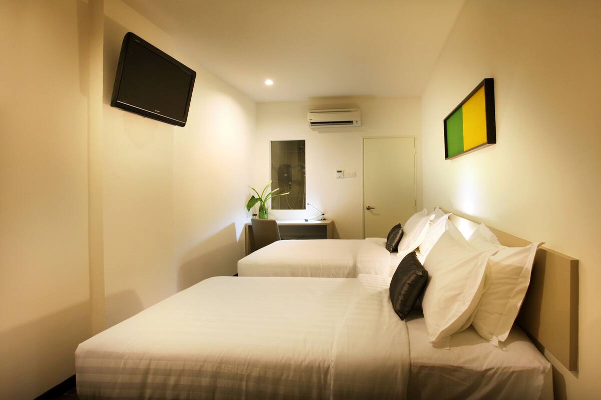 A hotel room with two beds, a flat-screen TV, an air conditioner, a desk with a plant, and a mirror.