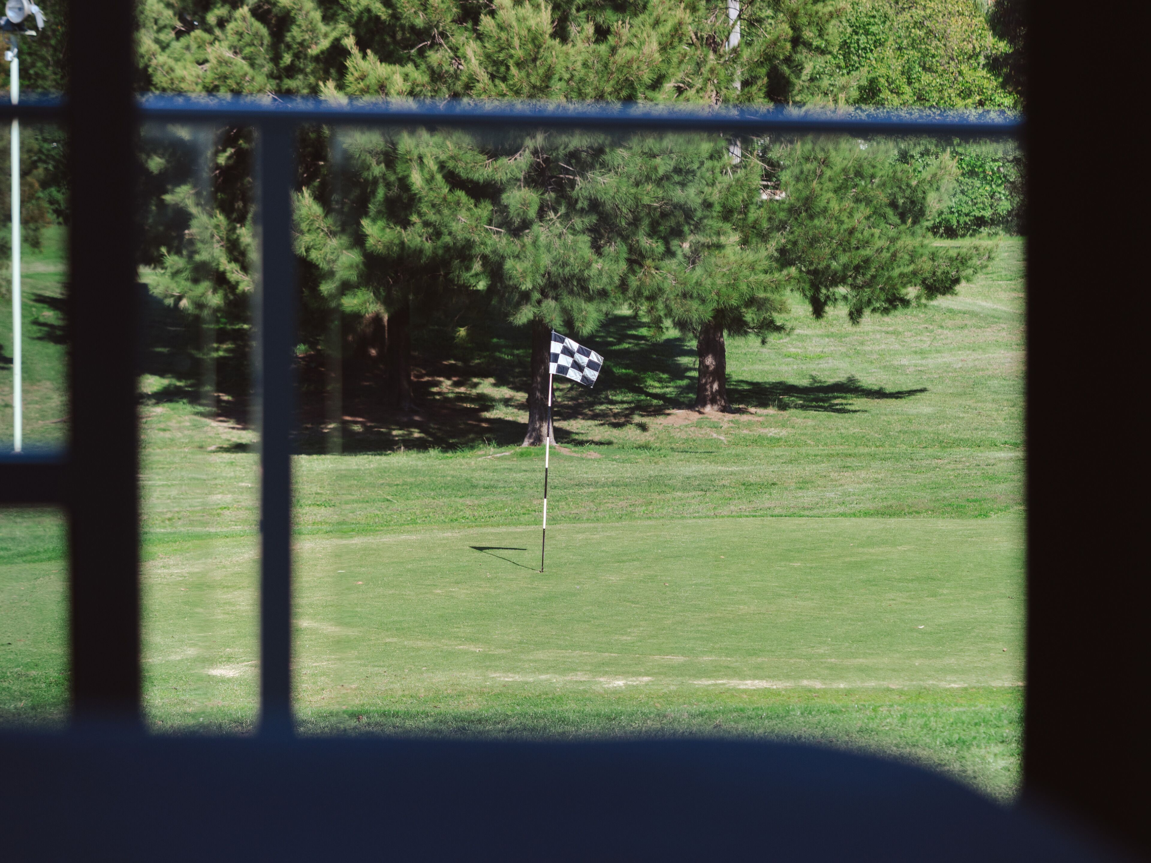 A golf course with a checkered flag on a flagpole, surrounded by trees and grass.