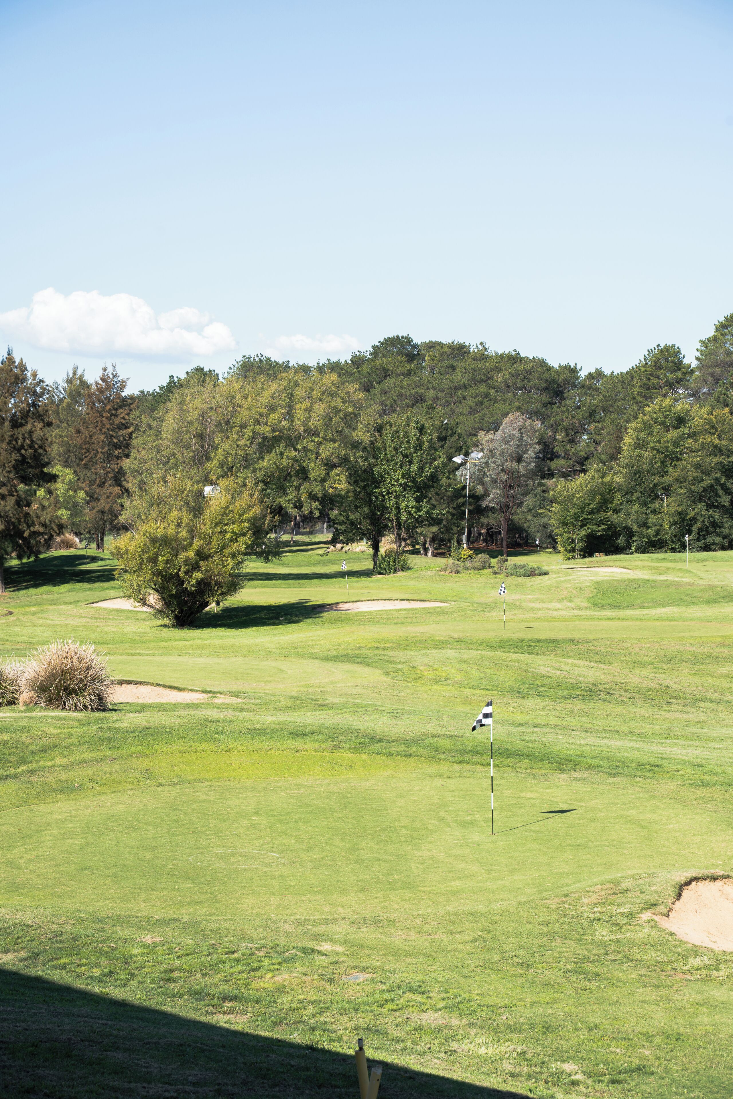 Golf view