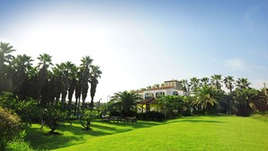 Une grande maison entourée d’une pelouse bien entretenue et de palmiers.