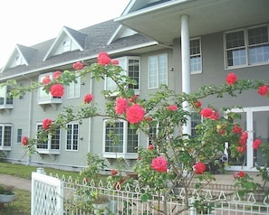 Ngoại thất
