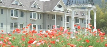 Condominium Square Hills