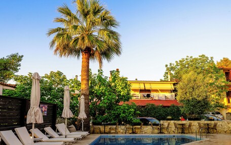 A swimming pool with lounge chairs and umbrellas, a palm tree, and a building in the background.