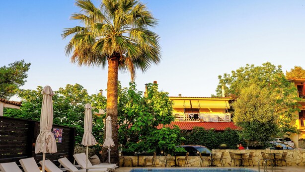 A swimming pool with lounge chairs and umbrellas, a palm tree, and a building in the background. - Samel Hotel (Kassandra)