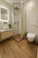 Ducha, cabezal de ducha tipo lluvia, secador de pelo, toallas