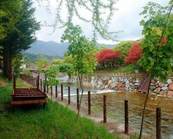 Vista desde la propiedad