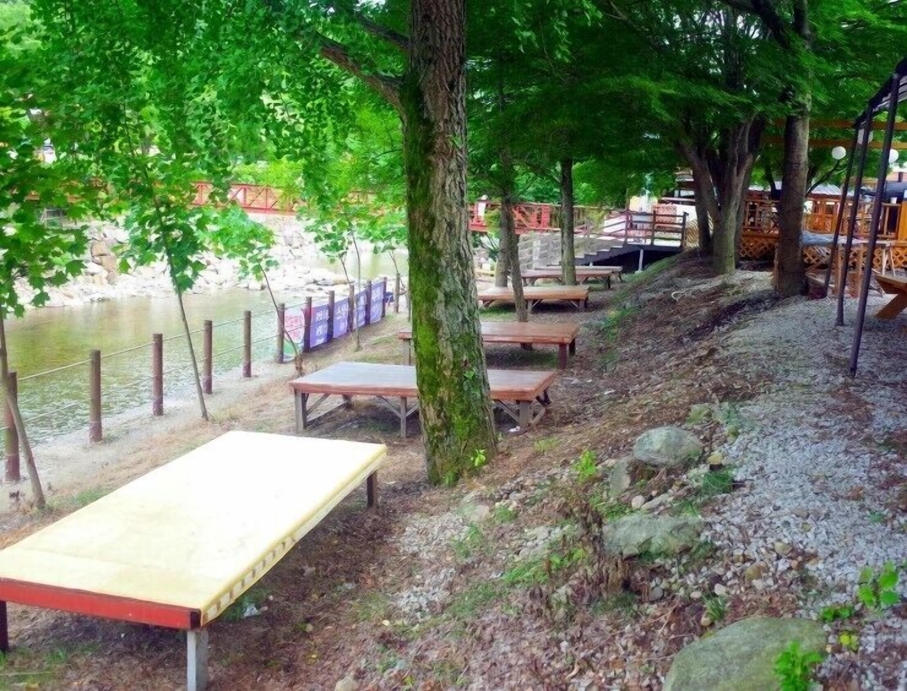 Un área de picnic junto al río con bancos y una mesa de madera, rodeada de árboles y un muro de piedra.