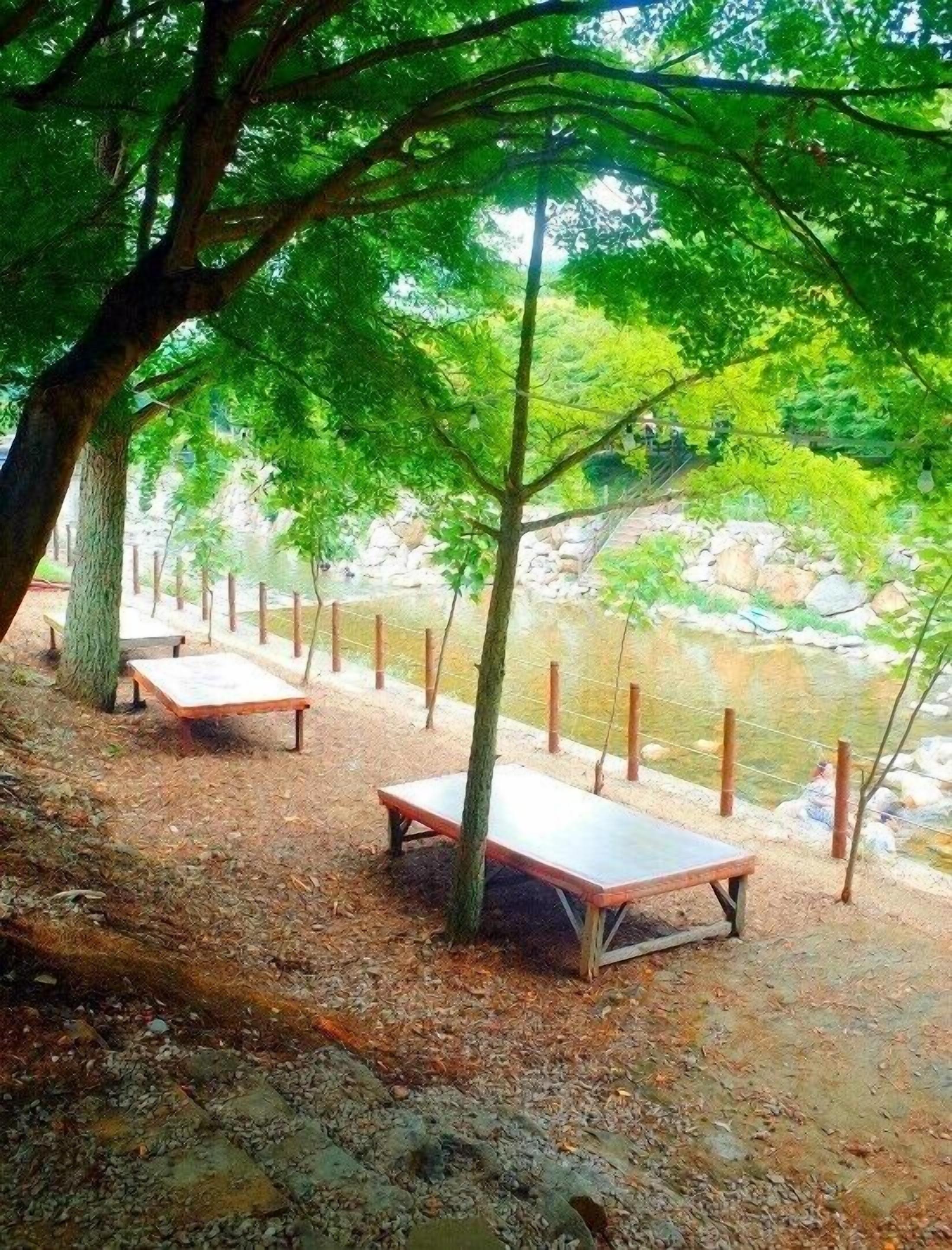 A serene outdoor seating area with benches under trees, overlooking a calm body of water and a stone wall.