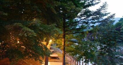 MUJU in GuestHouse - Hostel