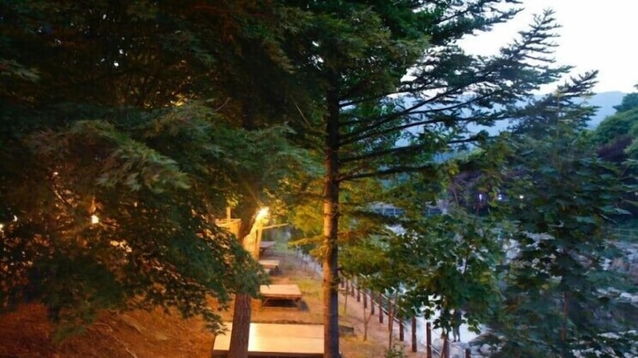 MUJU in GuestHouse - Hostel