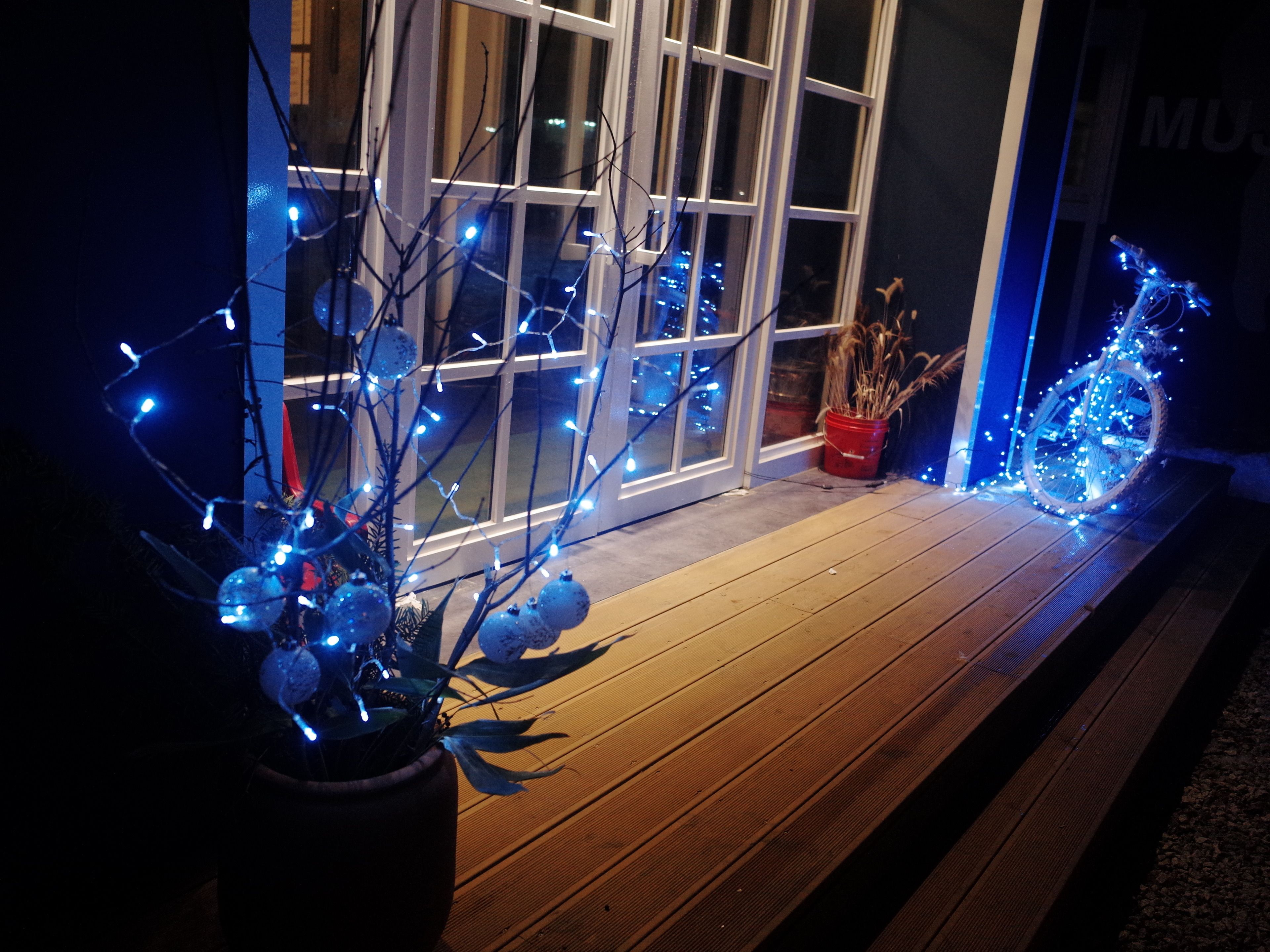 Una terraza de madera con luces colgantes y una planta en maceta.