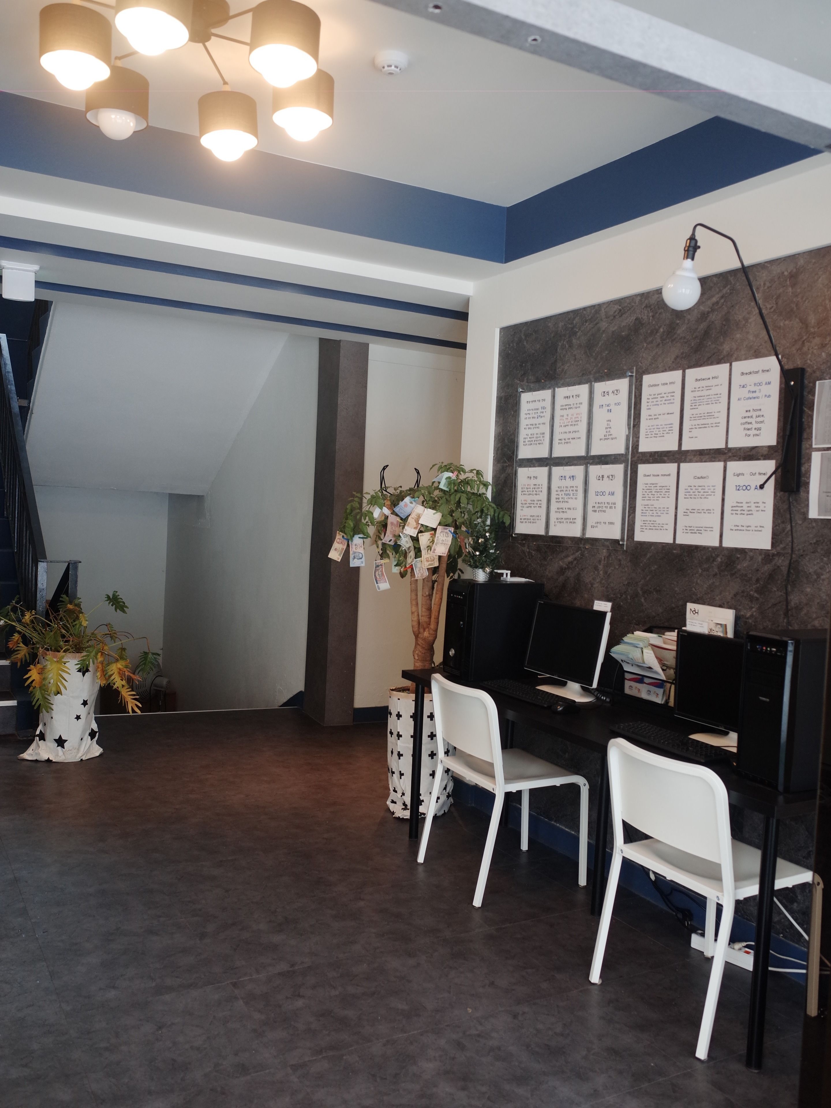 A modern office space with a desk, two chairs, a potted plant, and a bulletin board with printed notices.