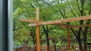 Teras/patio
