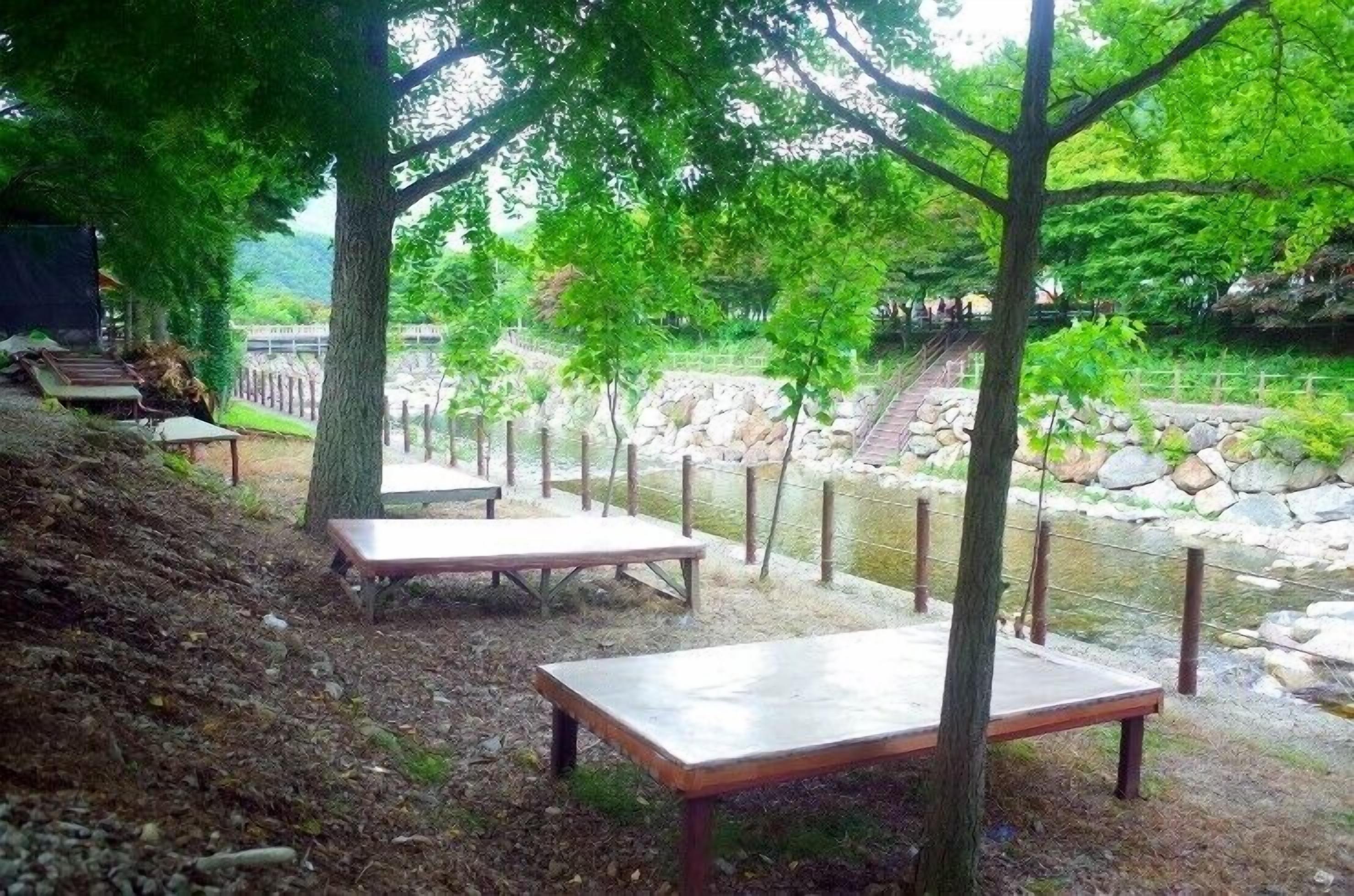 Un espacio exterior tranquilo con mesas de picnic y un sendero de piedra que conduce a un puente.