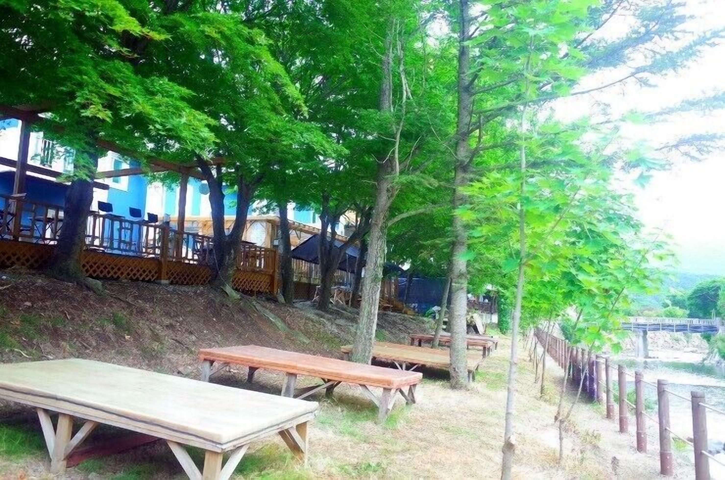 Un área de picnic con bancos y mesas de madera, rodeada de árboles y vista a un cuerpo de agua.