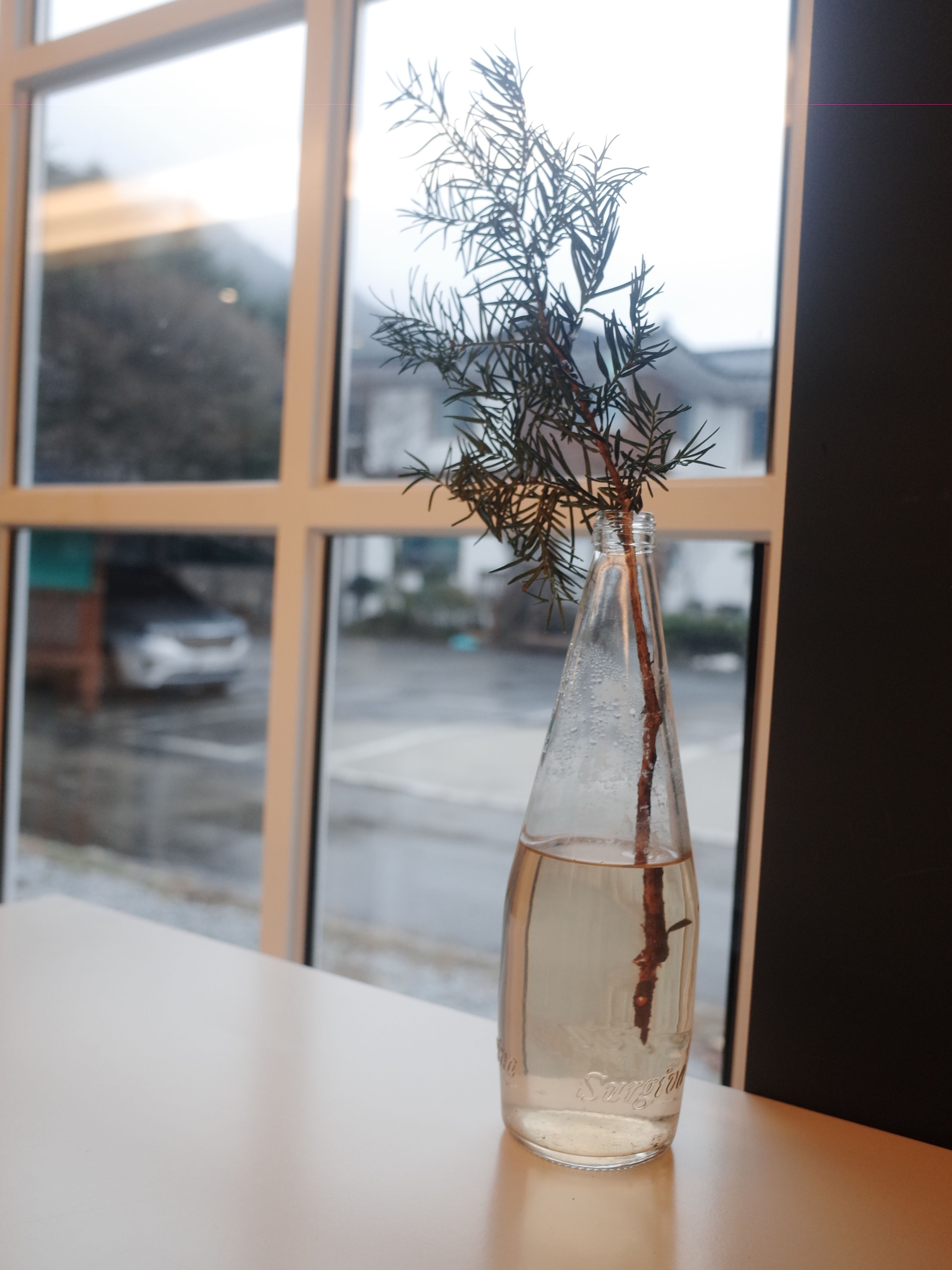 A clear glass vase with a plant on a table by a window.