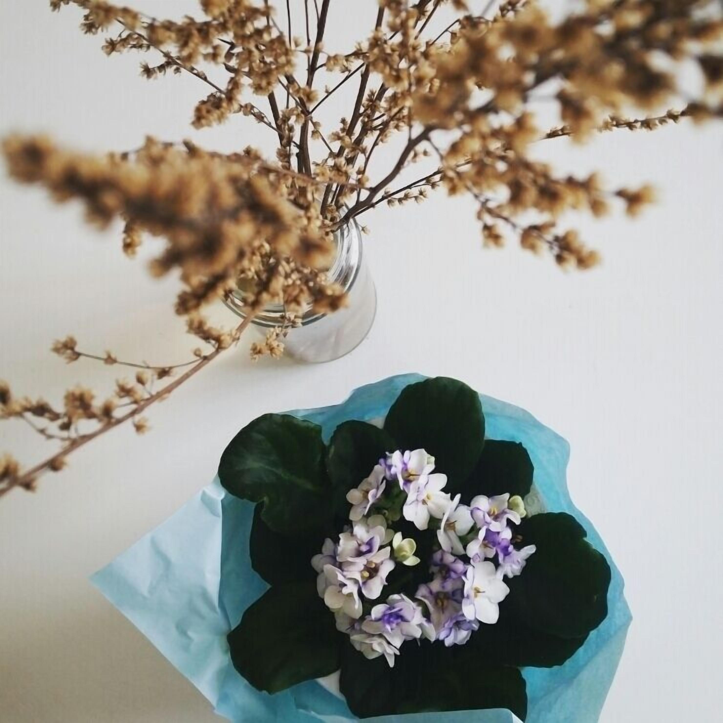A vase with dried branches and a blue paper bag with flowers.