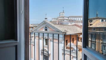 Executive Suite | View from room