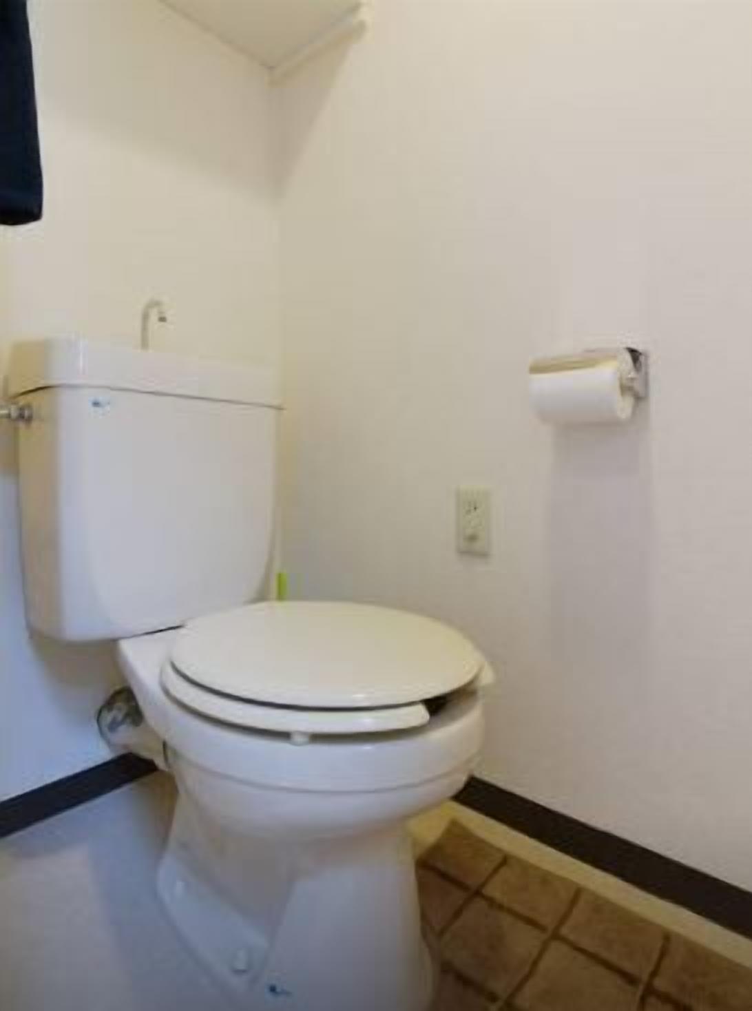 Un WC standard bianco con serbatoio, un porta carta igienica a parete e pavimento piastrellato.