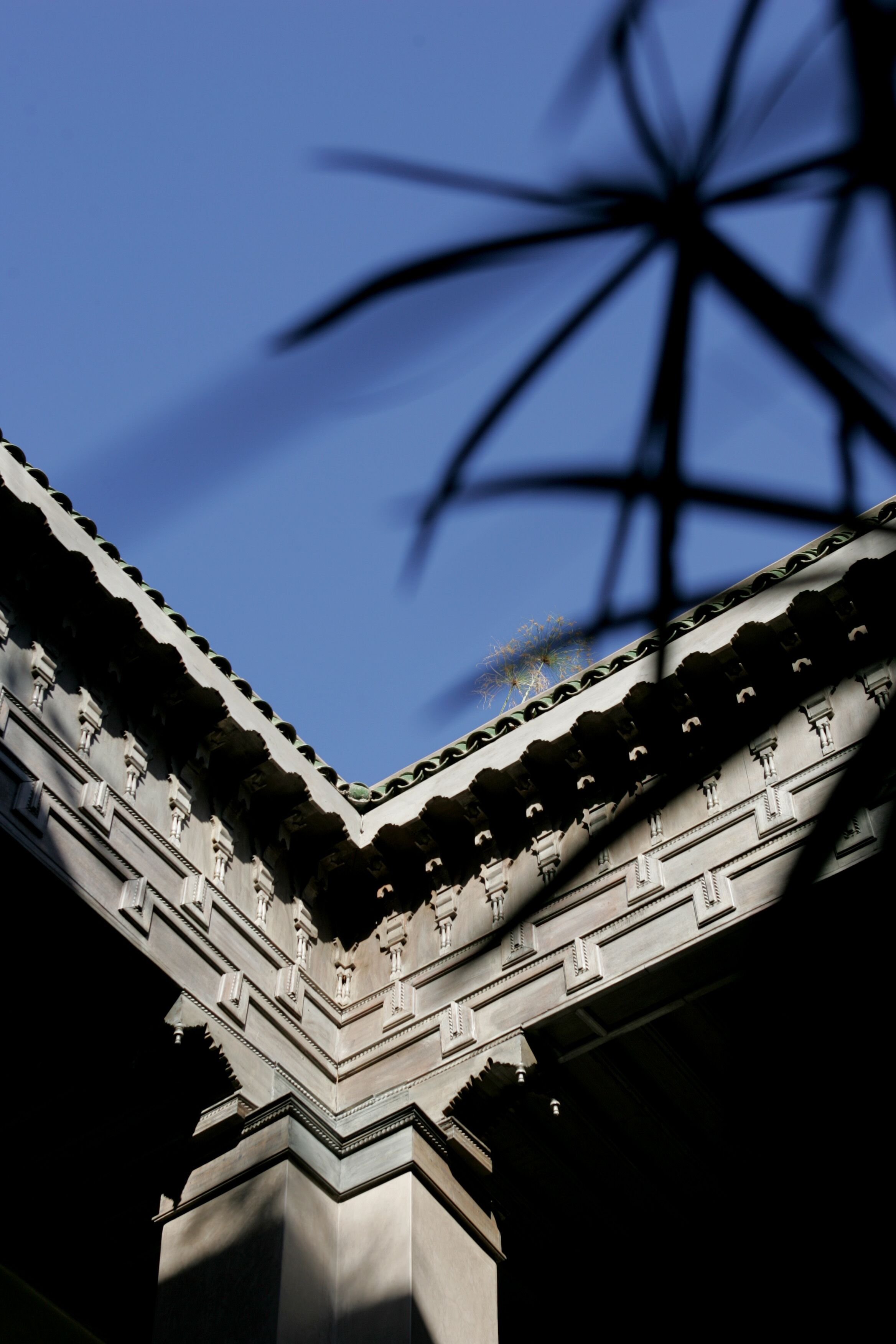 Photo - Riad Dar One