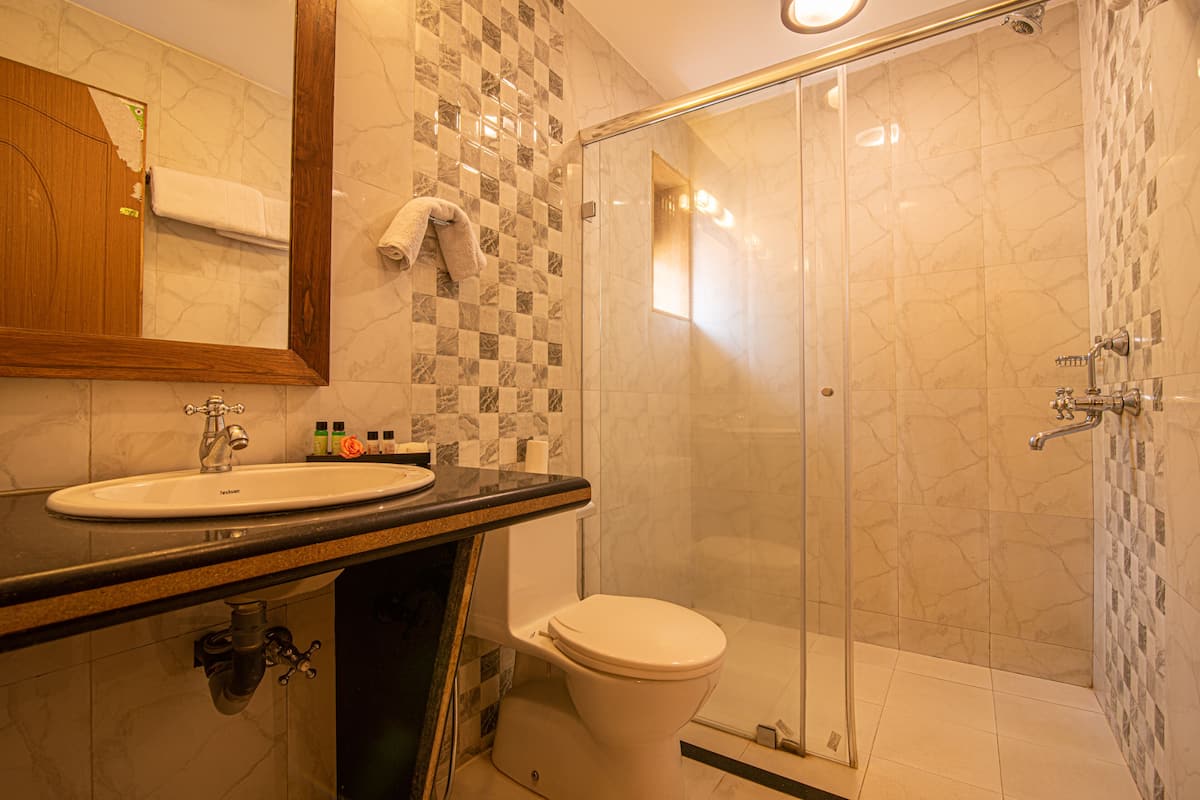 deluxe room | bathroom | shower, free toiletries, towels