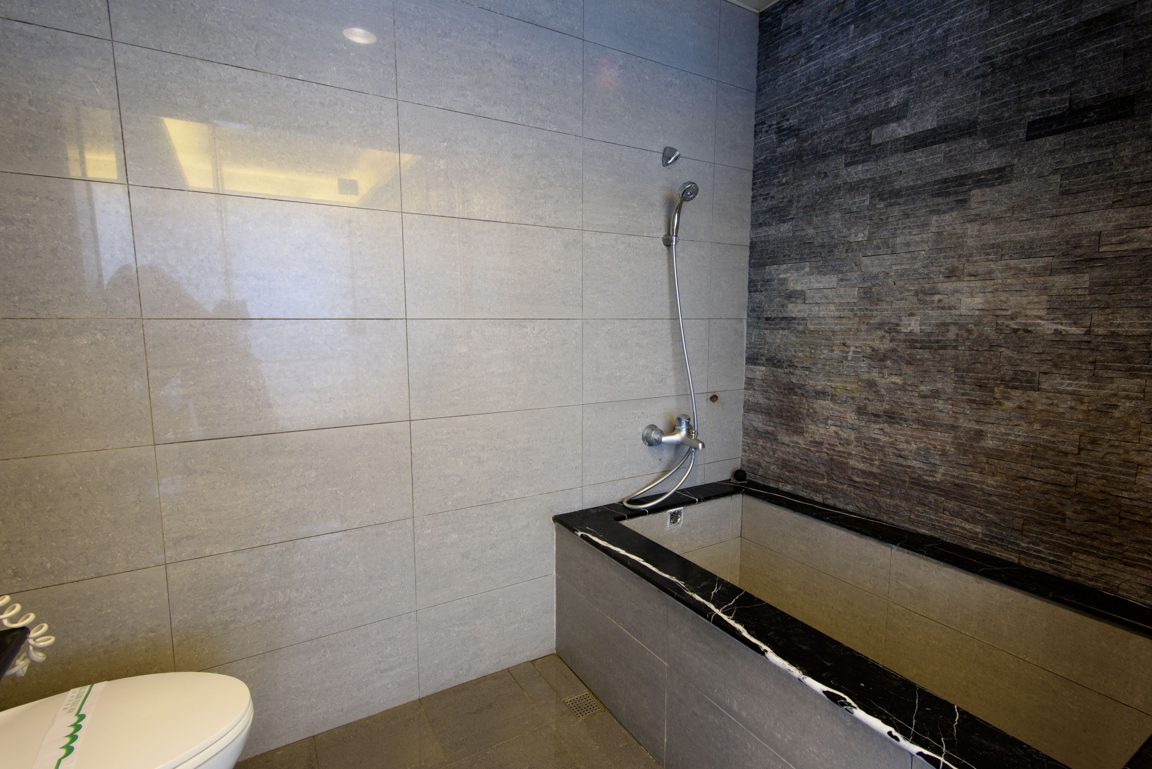 A modern bathroom with a shower, toilet, and a marble bathtub.