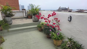 A rooftop terrace with potted plants, steps leading to a higher level, and a view of distant buildings. - Asunción Palace Hotel (Asunción)