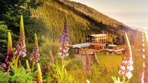A lodge with a large dining area and outdoor seating, surrounded by forested hills. - Hotel Srdiečko (Horna Lehota)