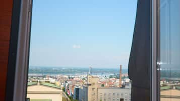 One-Bedroom Apartment | View from room