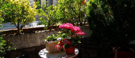 Detalle exterior