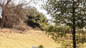 Un espacio al aire libre con mesas redondas y sillas de mimbre blanco, rodeado de árboles y un campo cubierto de césped.