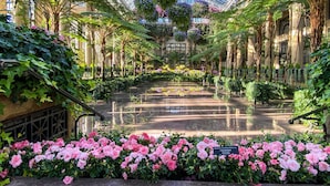 Un exuberante jardín interior con una fuente central, rodeado de diversas plantas y flores.