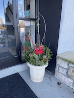 Una planta en maceta con flores rojas y follaje verde frente a la entrada de un edificio.