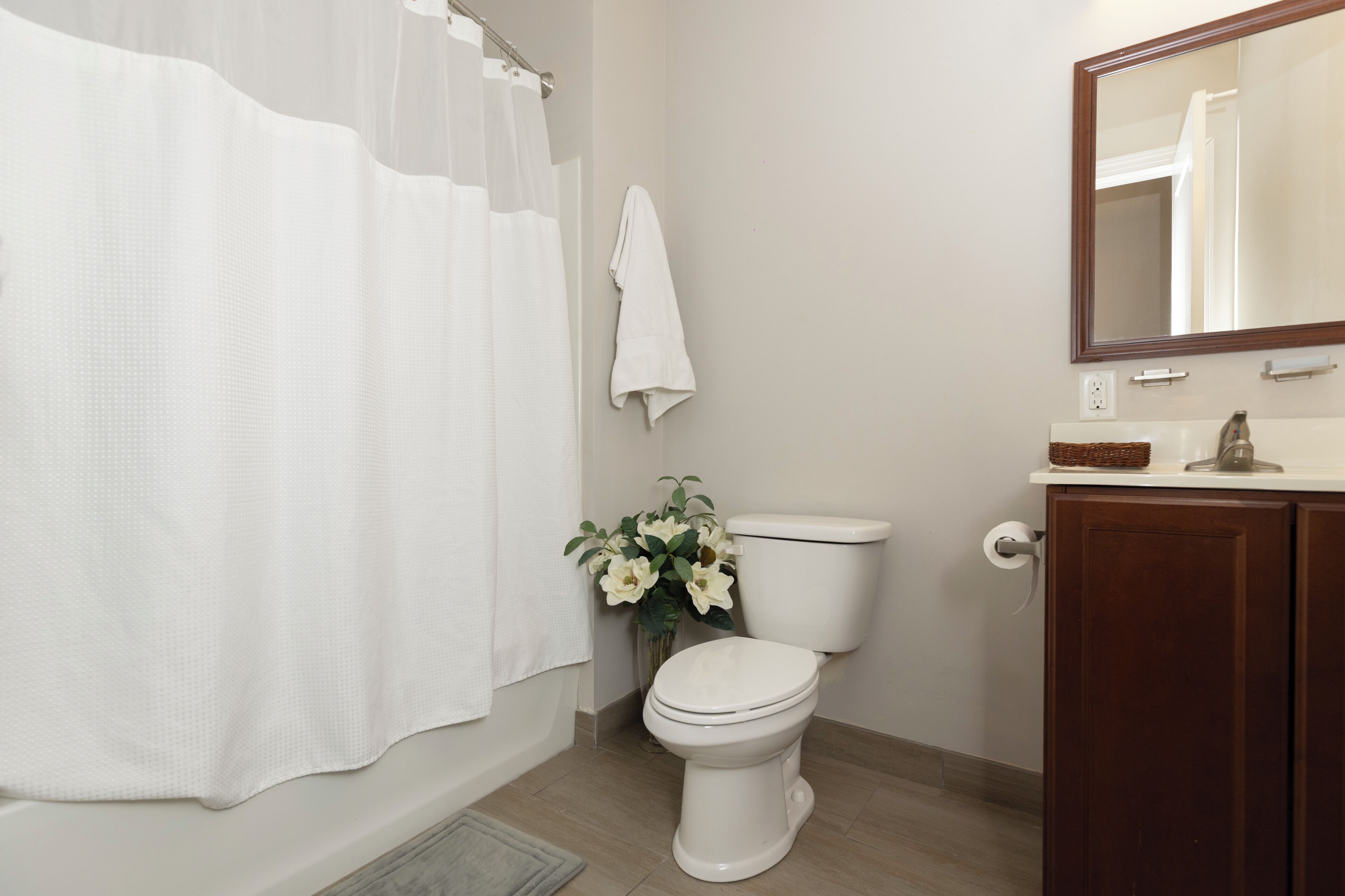 combined shower/bathtub, free toiletries, hair dryer, towels