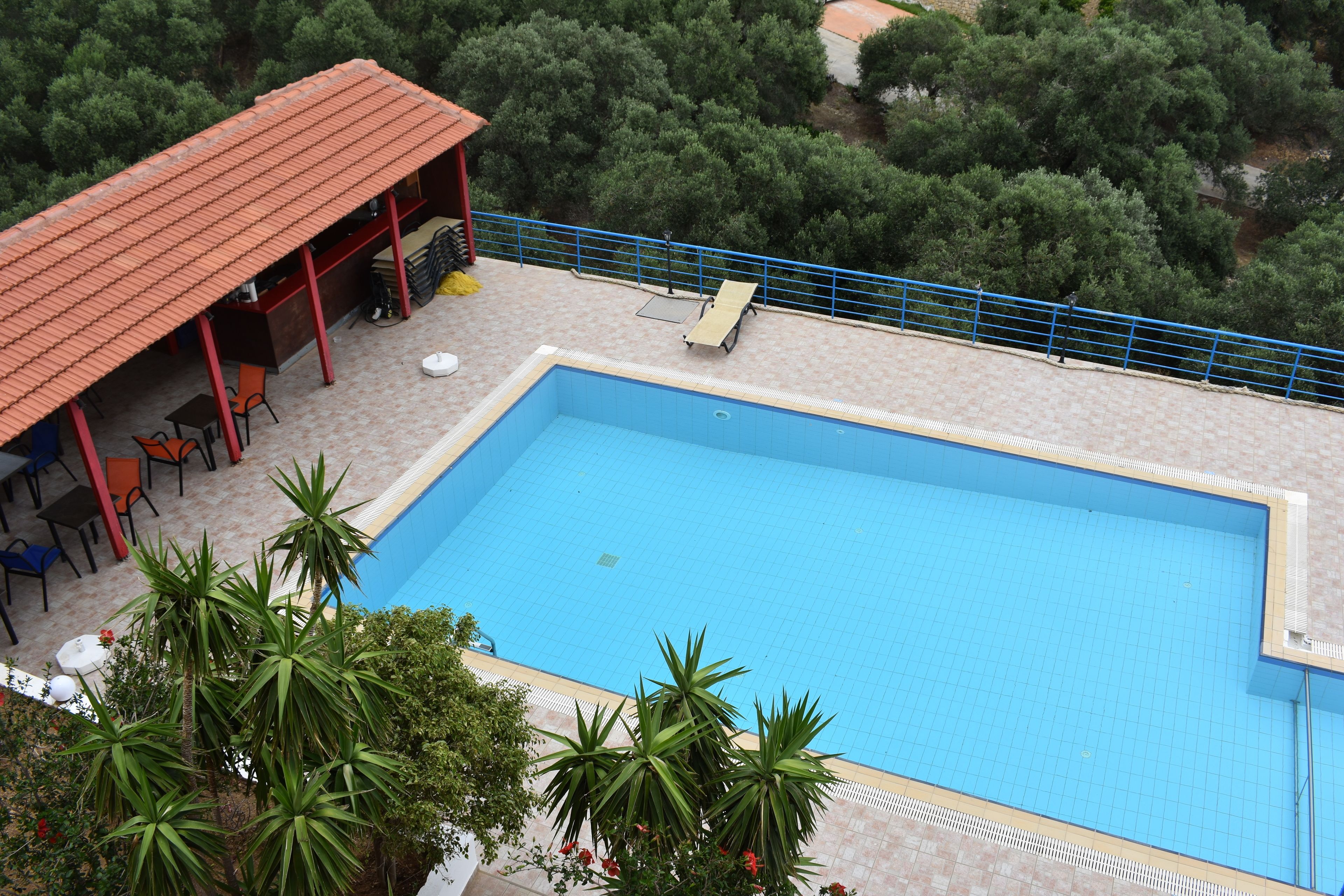 A swimming pool with a tiled deck, a covered seating area, and surrounding greenery.