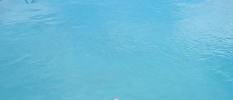 A swimming pool with a metal handrail and a 'No Diving' sign.